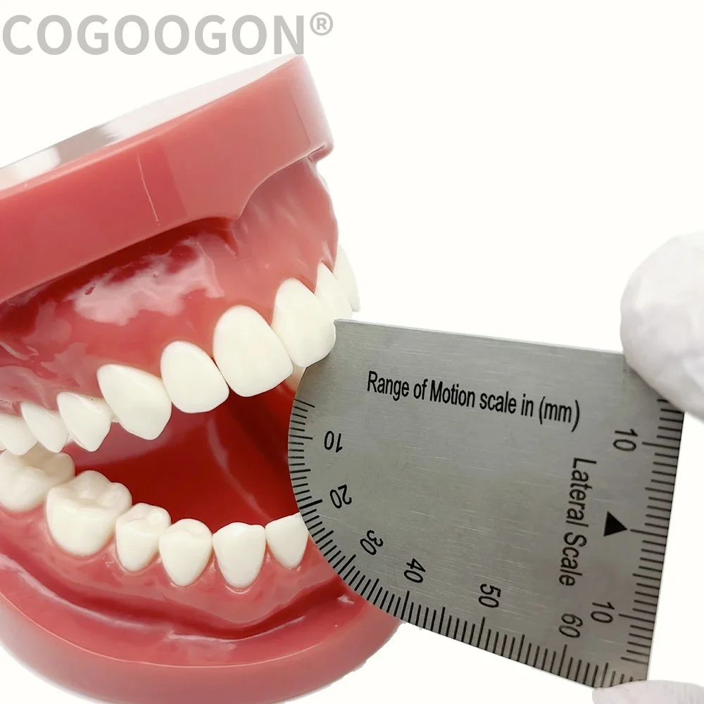 Stainless Steel Dental Bite Gauge Caliper Mouth Gag Opening Capacity Dental Precision Measuring Ruler