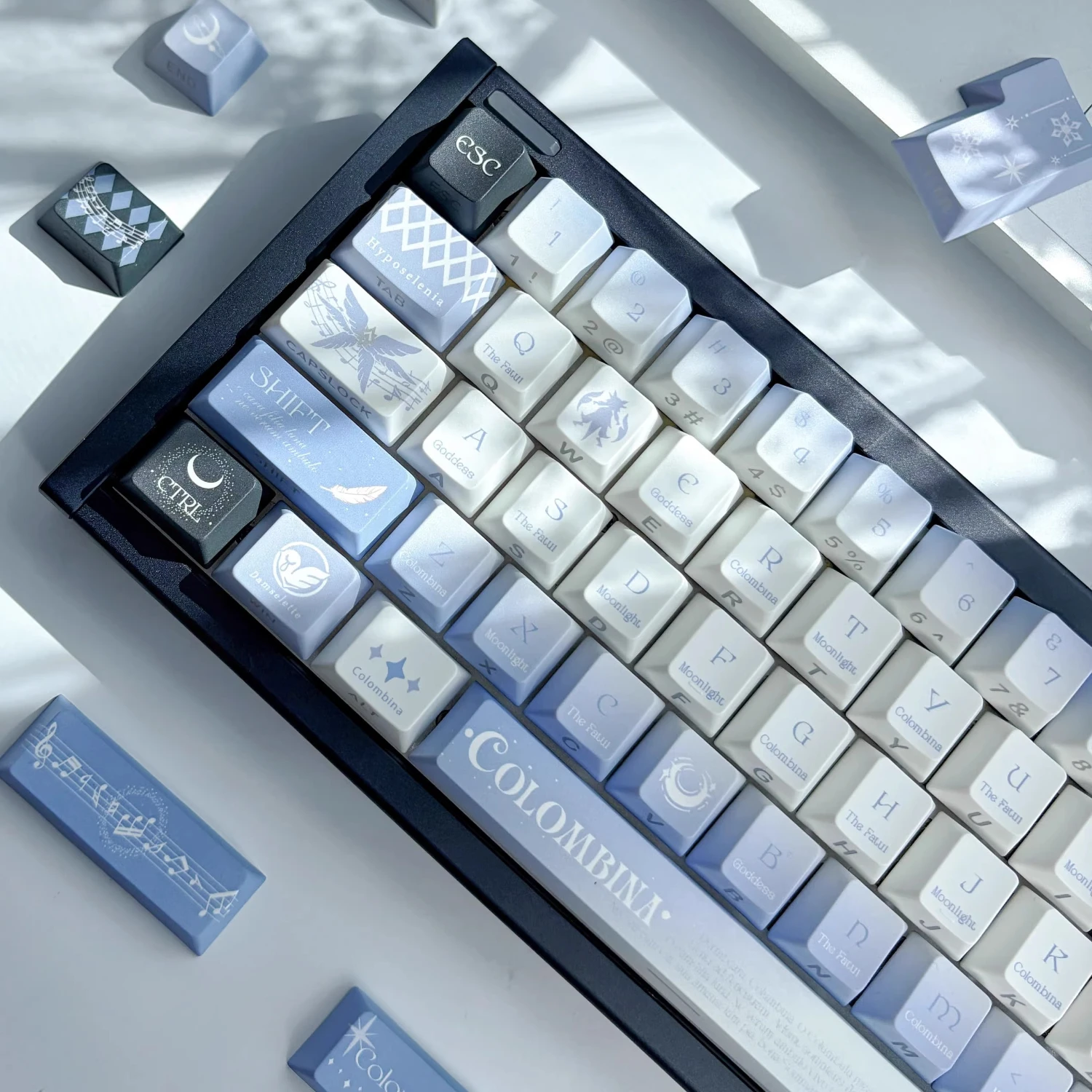 Maimooo Genshin Imp…