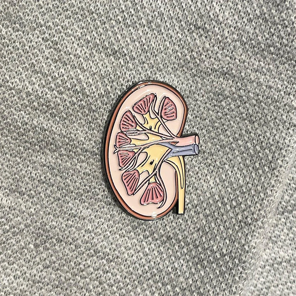 Hanreshe Kidney Anatomy Brooch Enamel Lapel Pins Medical Jewelry Badge Biology Gift for Doctor Nurse Medicine Student