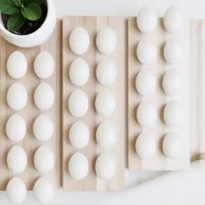 

30Pcs Realistic Simulation Pigeon Eggs Plastic Laying Egg Props for Dove Coop Hatching Induced Nesting Bird Health Maintenance