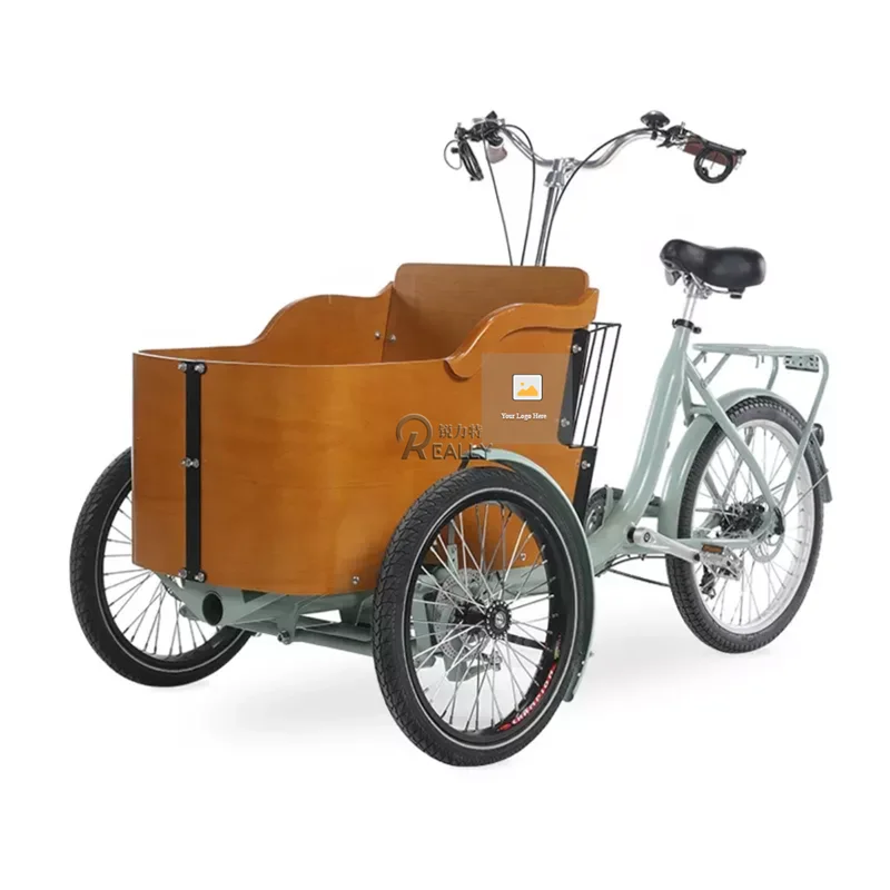 Classical Electric Adult Tricycle Kid Tricycles Dog Pets Pedal 3 Wheels Cargo Bike For Sale