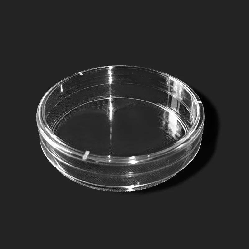 10Pcs 60mm Petri Dishes Plastic Transparent With Lids Bacteria Culture Dish Biological Scientific Lab Supplies