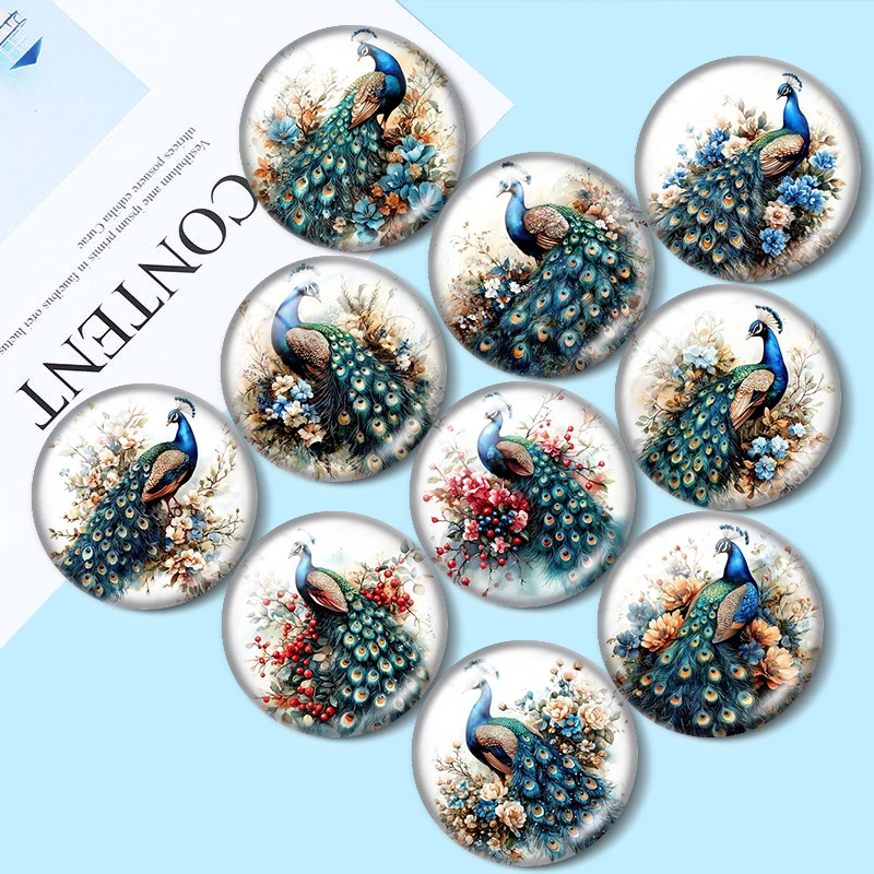 رائعتين الطاووس كليبست 10 قطعة 12 مللي متر/16 مللي متر/18 مللي متر/25 مللي متر صورة مستديرة الزجاج كابوشون التجريبي شقة عودة صنع النتائج