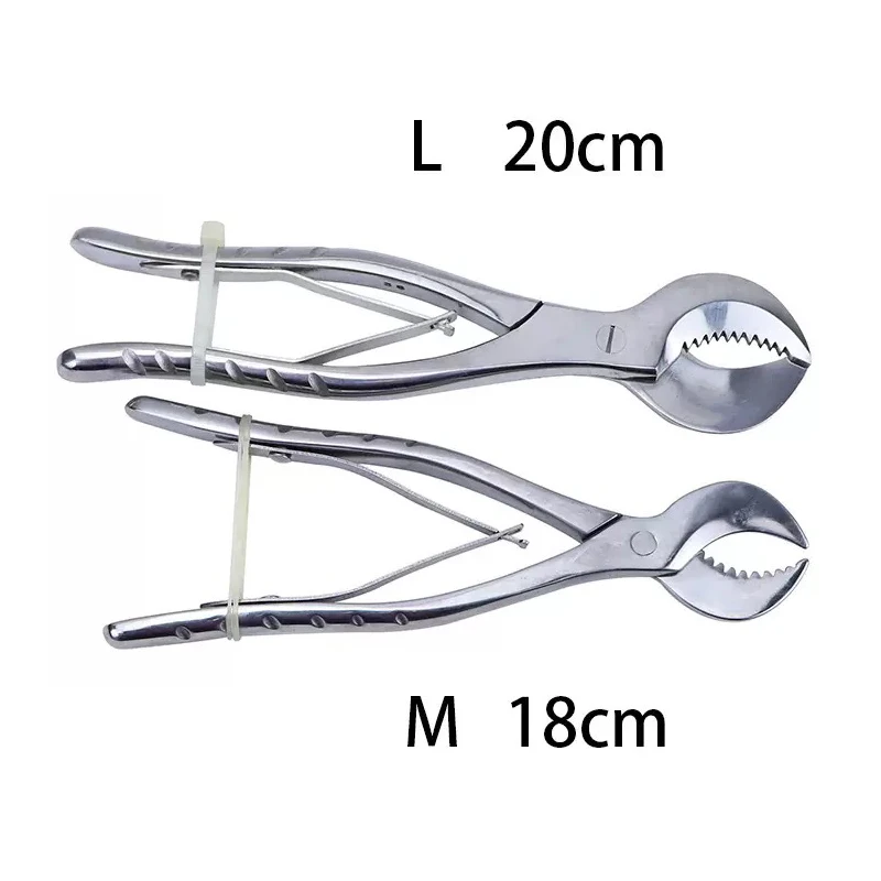 1 шт. M/L стоматологические лабораторные инструменты, ножницы для зубной штукатурки, презервативы, щипцы из нержавеющей стали, инструмент, ножницы для гипсовой штукатурки