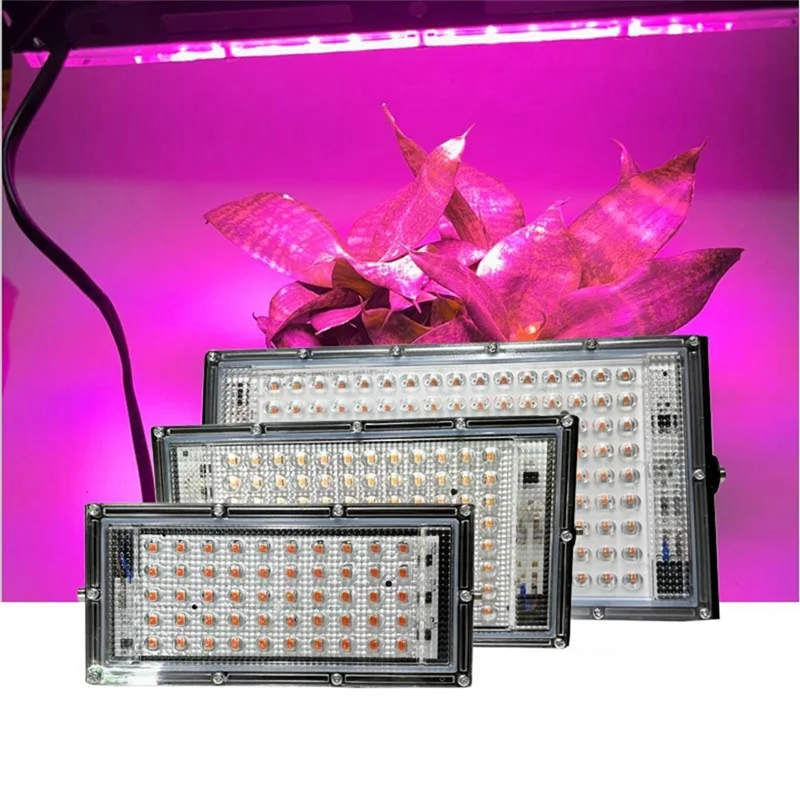 フルスペクトル LED 成長ライト Phytolamp 範囲ランプ屋外投光器植物テント花播種 50 ワット米国プラグ