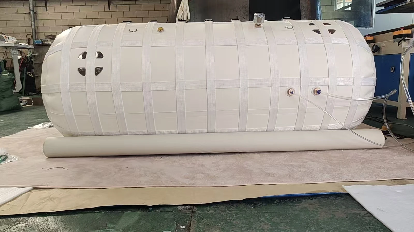Newest Hyperbaric Oxygen Chamber Top Ranking Veterinary Oxygen Concentrator Pet Chamber