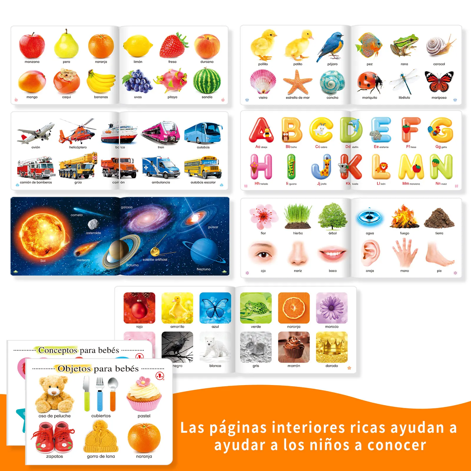 1 juego de 2 libros de alfabetización infantil española |   Años 3-6 |   Mejora cognitiva |   Magníficamente ilustrado |   Imprimación Infantil