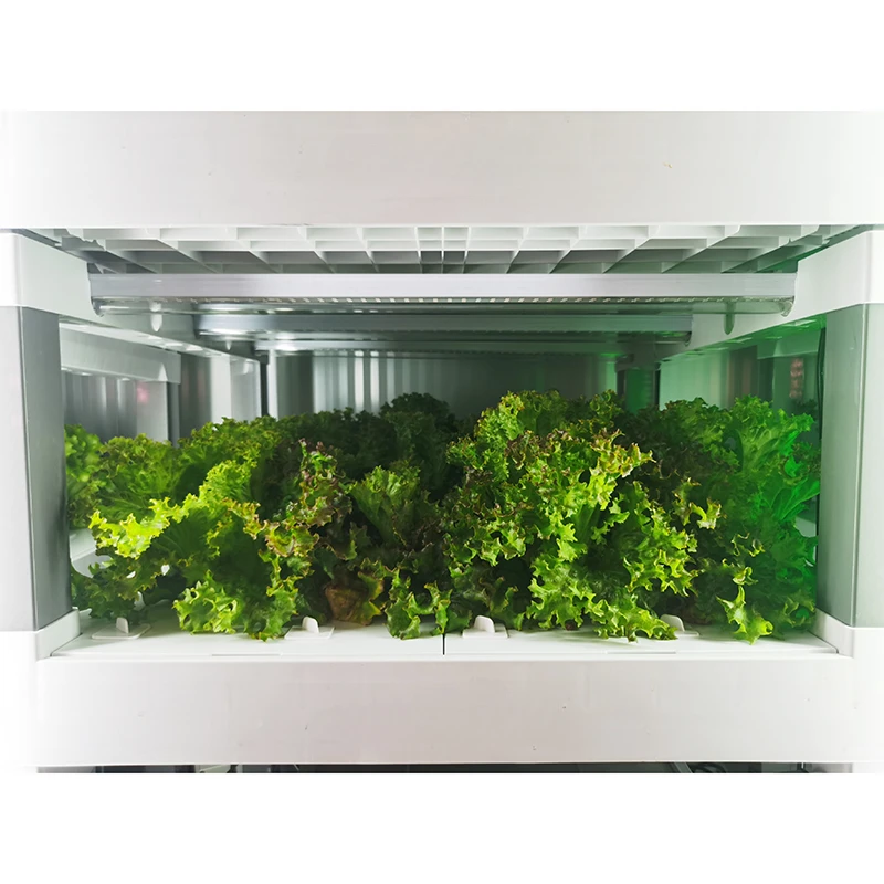 

New intelligent cabinet Hydroponic System Grow Box Full Spectrum Light Hydroponic Home Indoor Smart Garden planter