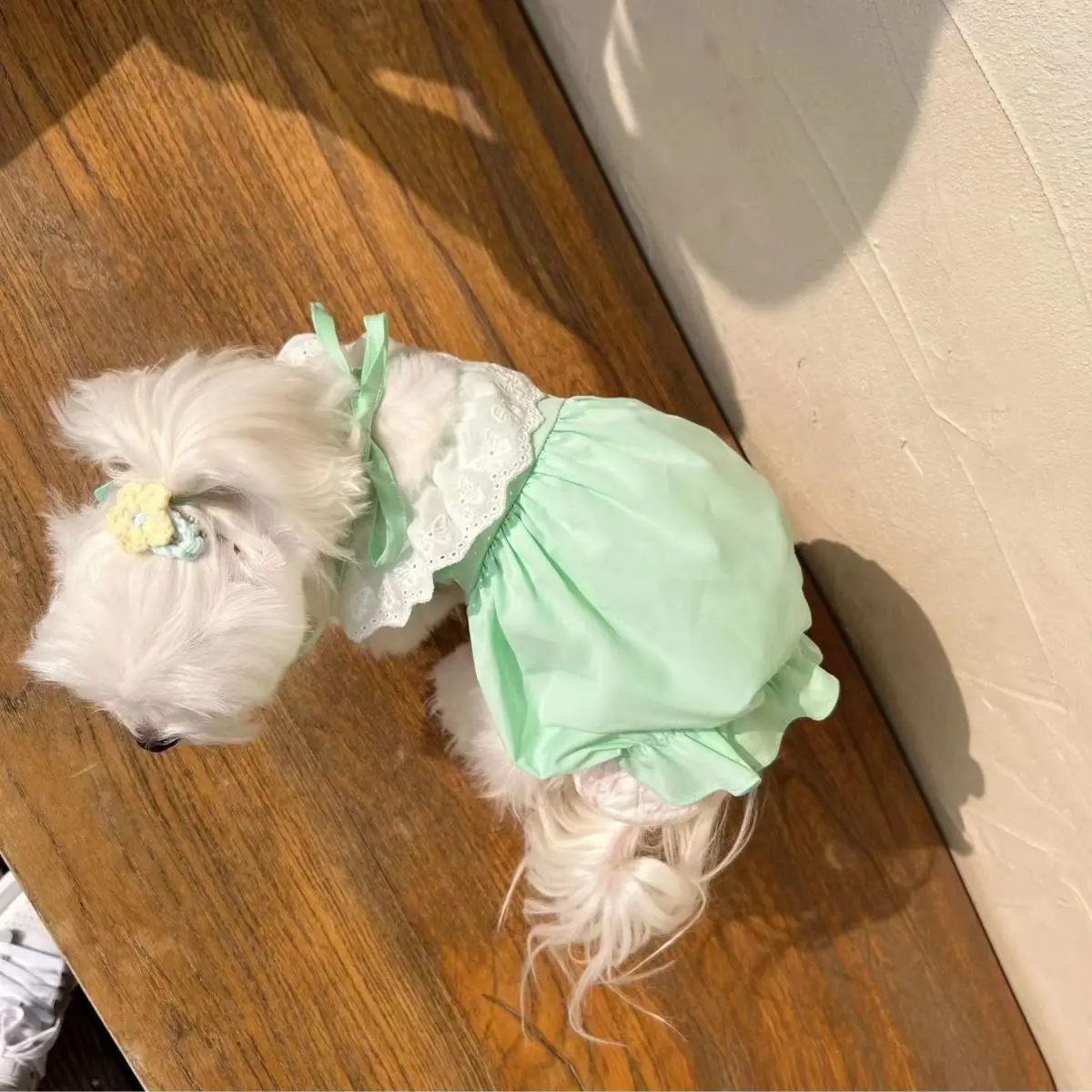 Lace Dog Pumpkin Group Pet Cute Ice Cream Color Pumpkin Skirt Summer Clothes Maltese Cat Bubble Skirt Dog Dresses For Small Dogs