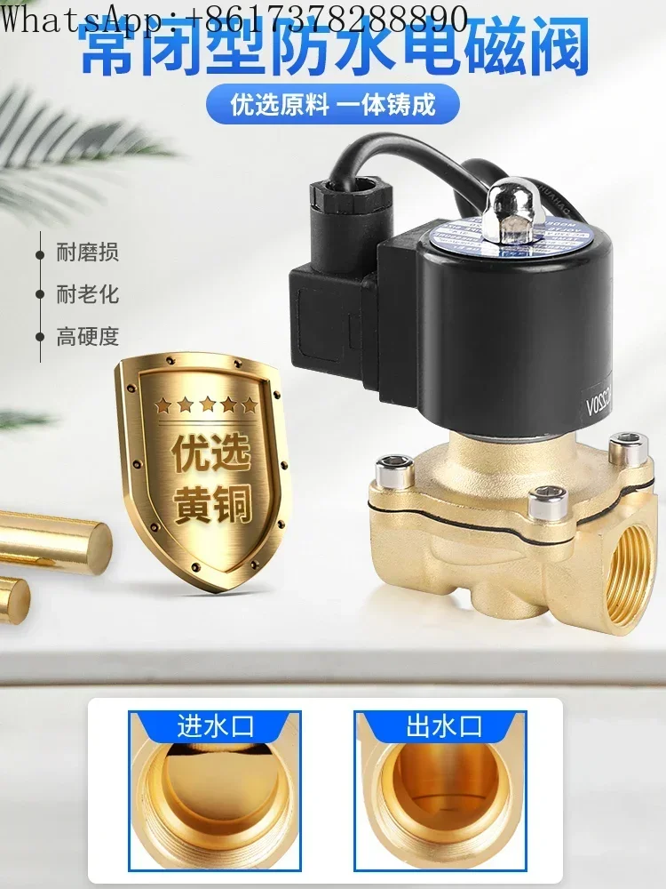 

Waterproof solenoid underwater fountain brass normally closed, buried outdoor water on/off valve, solenoid control valve, 220V
