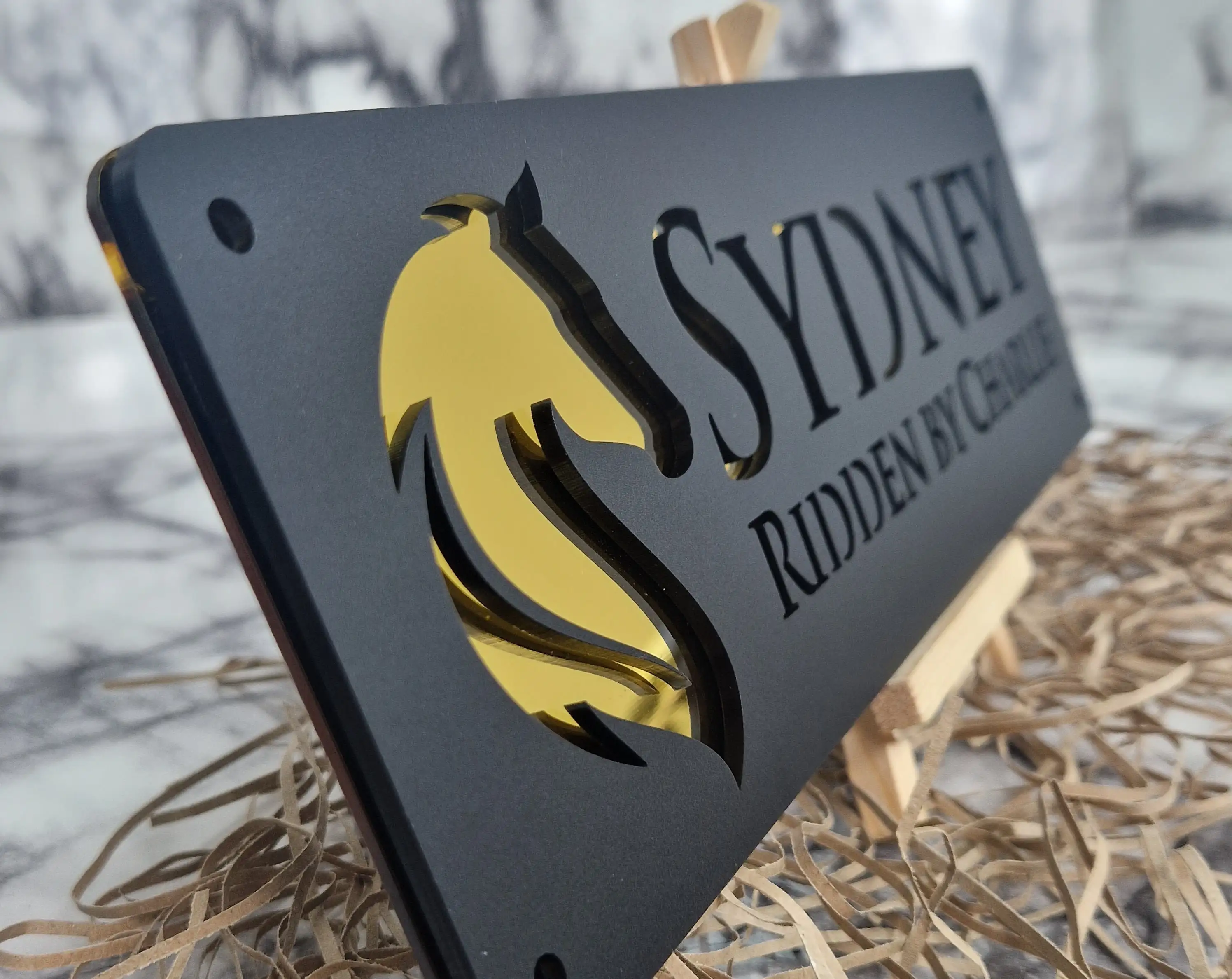 Custom Laser Engraved Acrylic Stable Number Sign - Personalized Gift for Horse Lovers Customisable Door plaque