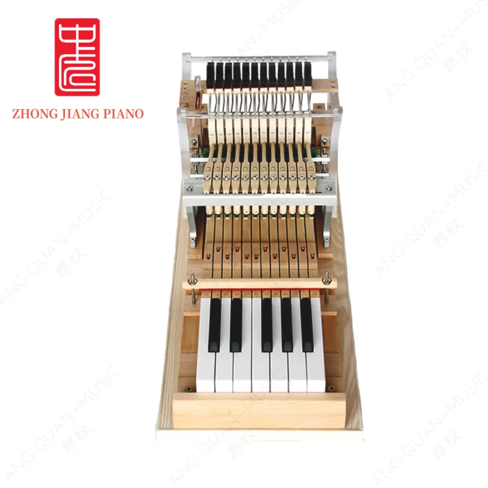 

Piano Teaching Model 12 Keys Triangle String Hitting Machine Model Professionally Designed Adjustable Touch Needs Customization