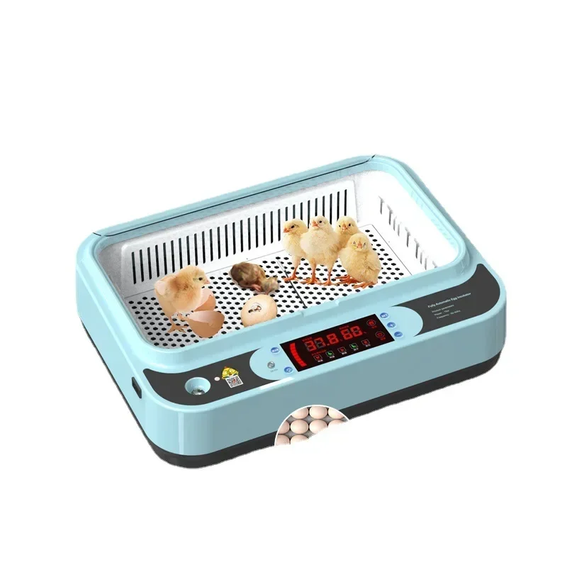 Incubators, Smart Incubators, Small Household Incubators, Chicks, Ducks, Geese, Pigeons, Rutin, Chicken Hatchers