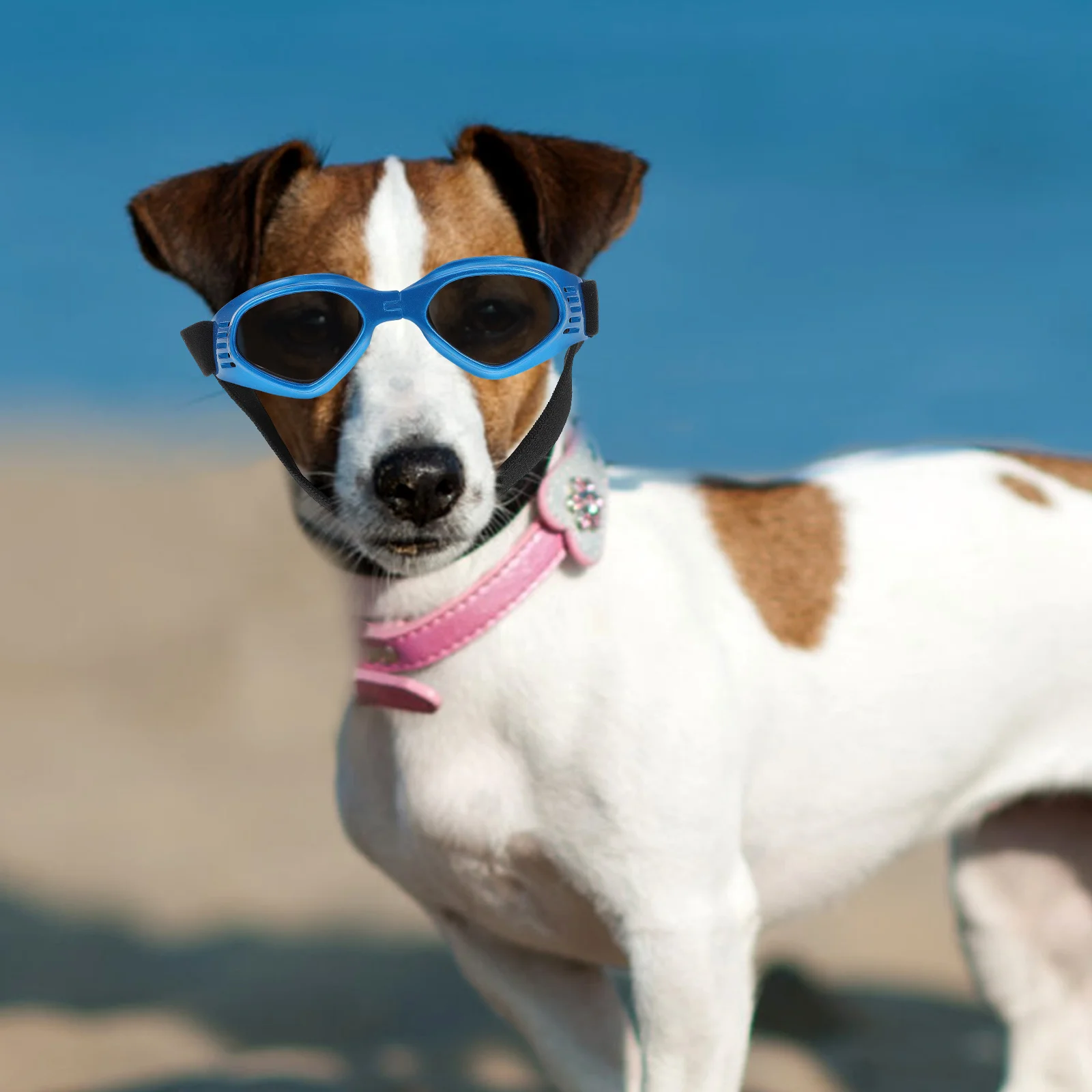 

Pet Sunglasses Dog Goggles for Small Medium Dogs Cats Uv Protection Windproof Foldable Outdoor Party Photo Eyewear