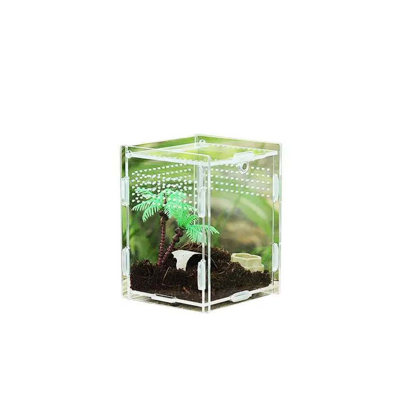 Acrylic Reptile Enclosure High Transparent Reptile Tarantula Enclosure Portable Natural Terrarium Kit Feeding Tarantula Habitat