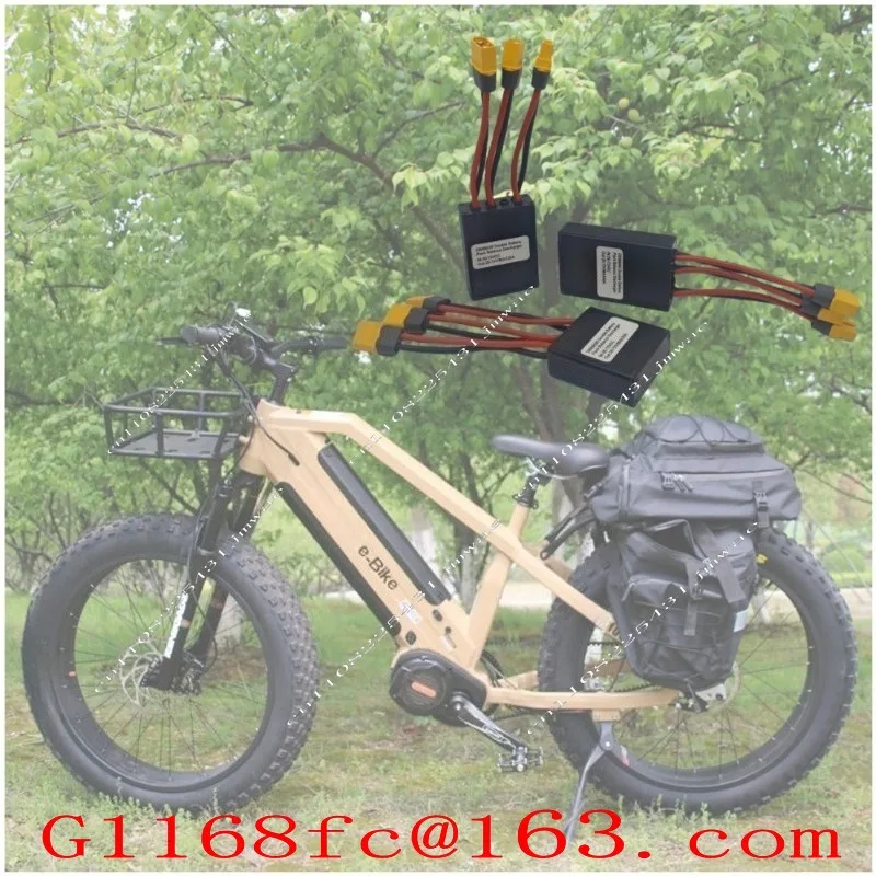 Electric Vehicle Dual Battery Balanced Simultaneous Output Module 250W-3000W Motor
