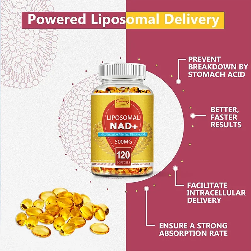 Liposomal NAD+ Supplements - Used for Anti Aging, Energy, Focus, Promotes Cell Health