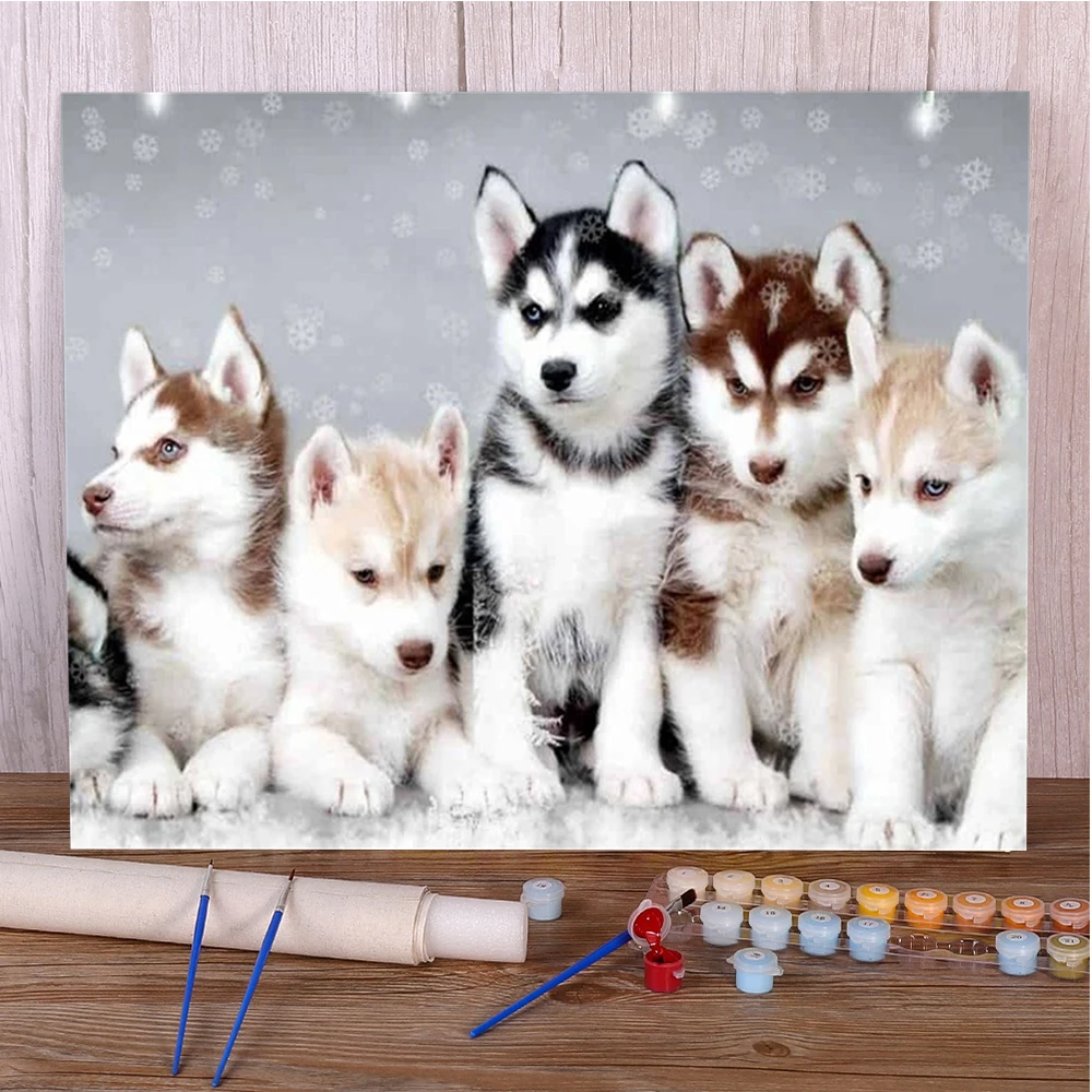 Animal Pet Dog Husky Painting By Numbers Canvas Craft Kit For Adults Bedroom Decoration Mother's Gift Wholesale HOT