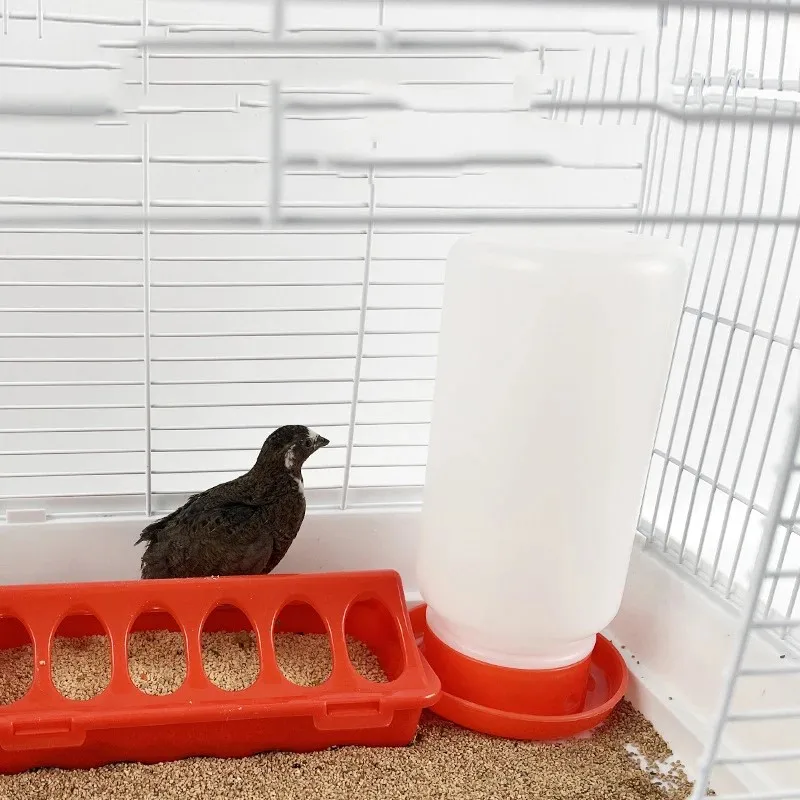 Comedero automático para pollos para codorniz y botón, contenedor de comida para aves de corral pequeño, diseño antiderrames, comedero portátil para pájaros para gallinas