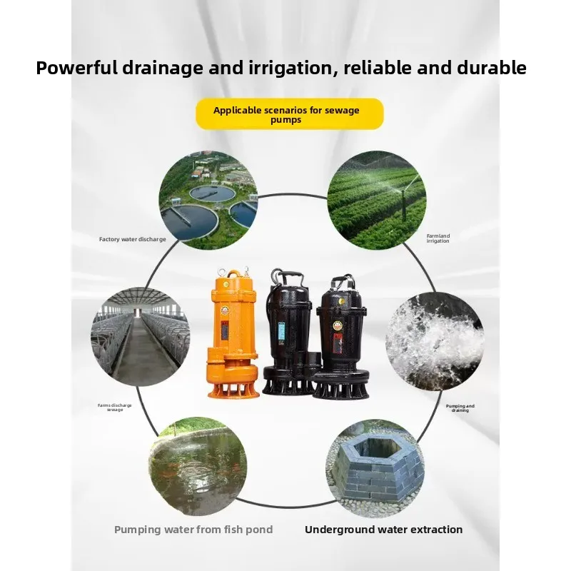 2 Inch Submersible Sewage Pump 220V  Small Wastewater Drainage Pump for Sludge Feces Mud, Industrial & Home Use Water Transfer