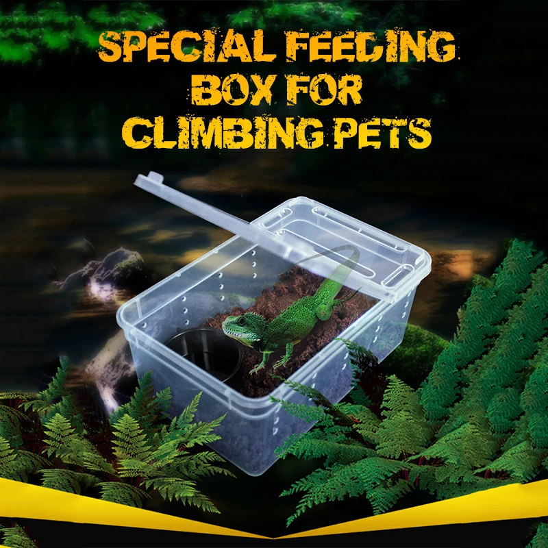 

19cmx12.5cmx7.5cm Terrarium For Reptiles Spider Transparent Plastic Feeding Box Insect Food Feeding Container