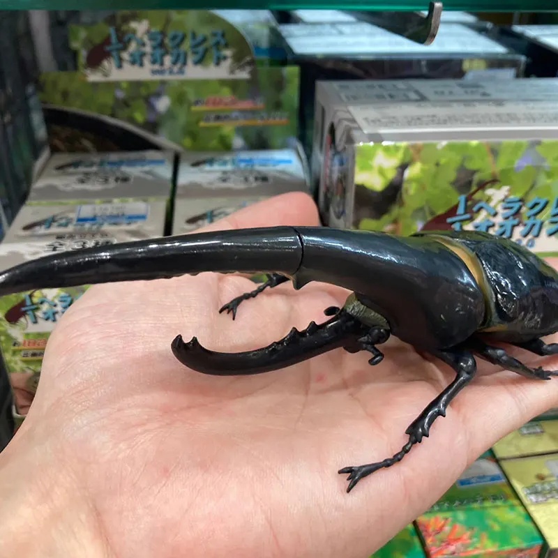 New SO-TA Gashapon Figure Anime Cute 1/1 Artificial Insect Japanese Rhinoceros Beetle Kawaii ornamen Figurine Capsule Toys Gifts