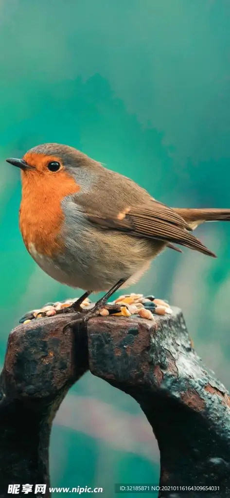 

For MJX Hyper Go RC Car Parts Remote Control 14209 1/14 Off road vehicle beach bike accessories/B2852A motor with heat dissipati