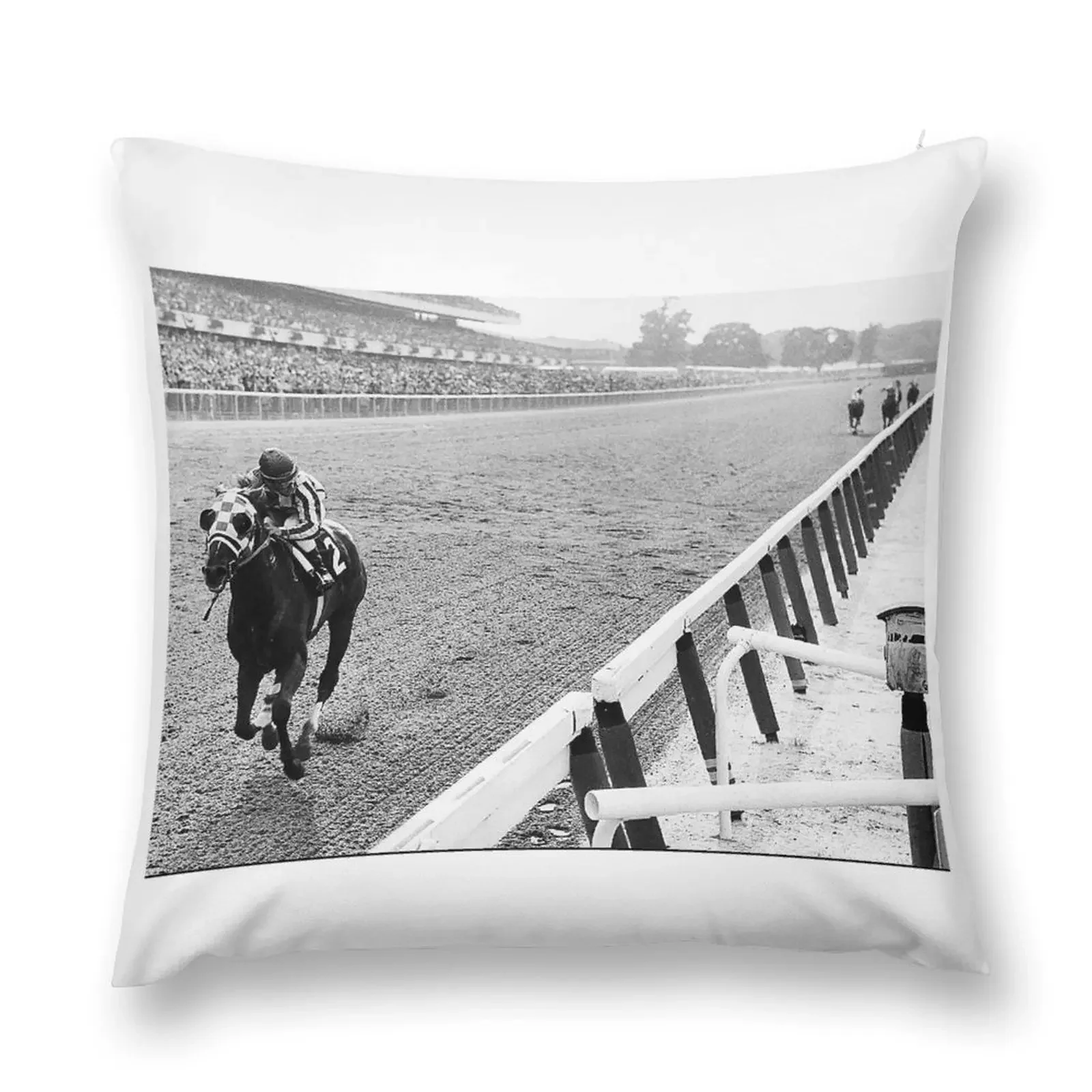 Secretariat Wins At Belmont Great American Horses Throw Pillow Pillowcase Sofa Cushion pillow