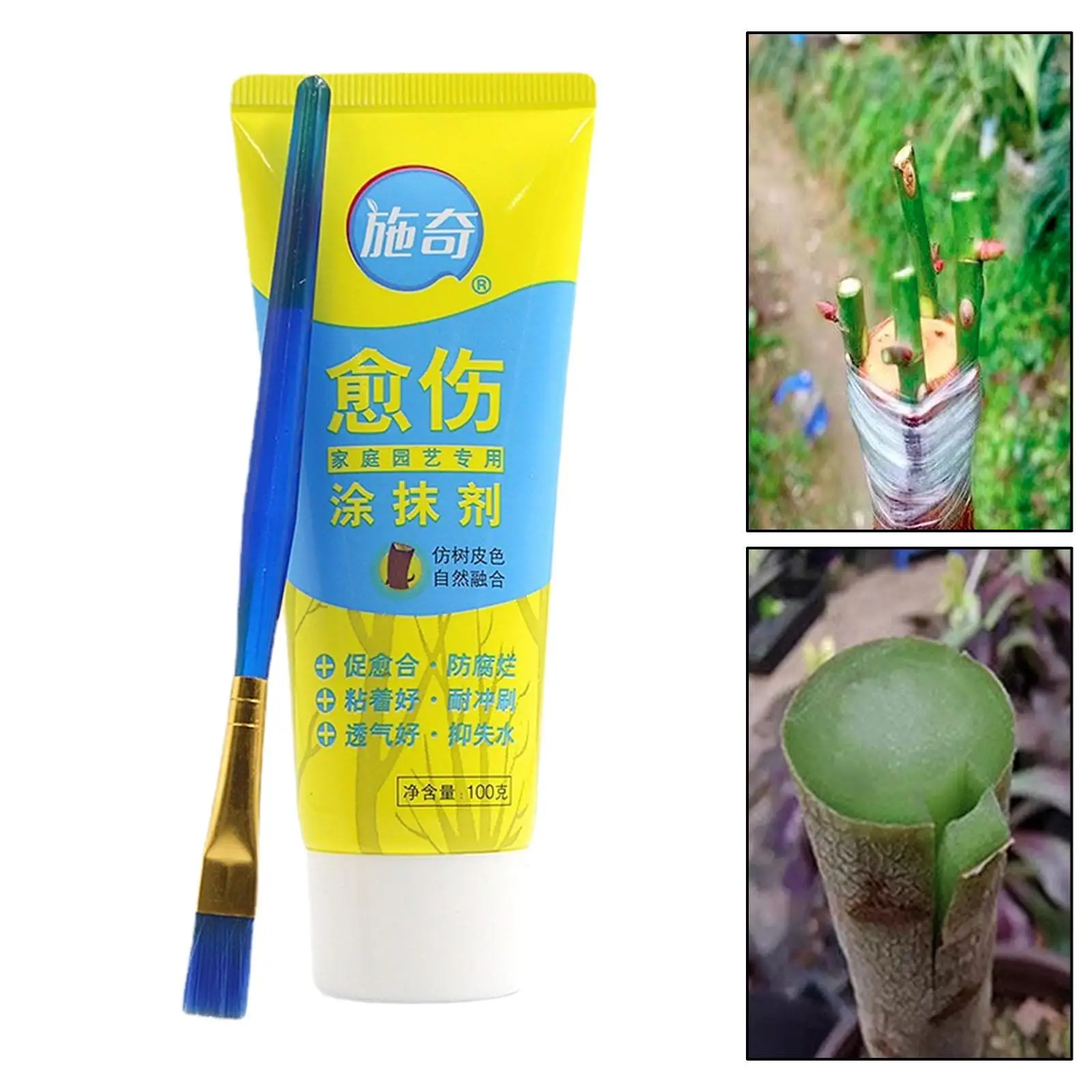 Tree Pruning Sealer Ready to Use 100G Tree Dressing with Brush for Plant Grafting Shrubs Pruned and Damaged Trees Bonsai Bushes