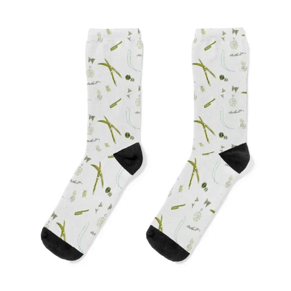 Algae Print Socks japanese fashion floral funny sock designer Designer Man Socks Women's