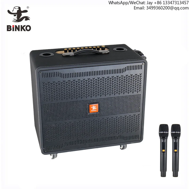 

Высококачественная профессиональная активная караоке-колонка мощностью 220 Вт с 12-дюймовым сабвуфером и мощным басом, на колесиках, для использования с компьютером