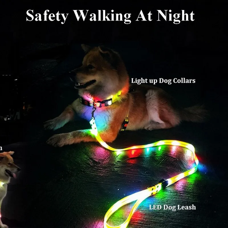 Light Up Dog Leash With Collar Set Waterproof PVC Rope USB Rechargeable Glow In The Dark Visiable Safety Night Walking