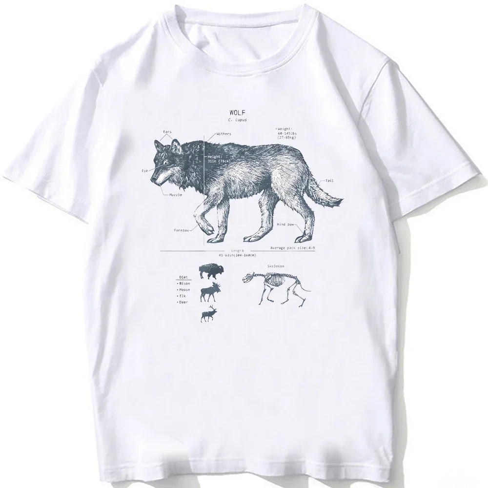 

Cool Wolf Anatomy Mountain T Shirt Vintage Unisex Men Short Sleeve Harajuku Animal T-shirt Boy Hip Hop Beach Style White Tees