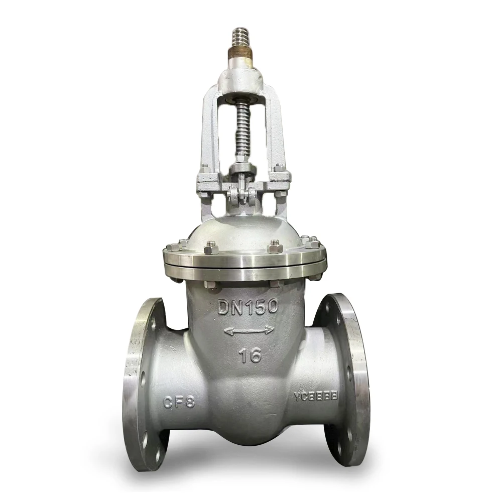 DN150 DN200 DIN3202 SS304 316 Manual Cast Stainless Steel Flange Gate Valve For General Application With CF3 CF8 Body