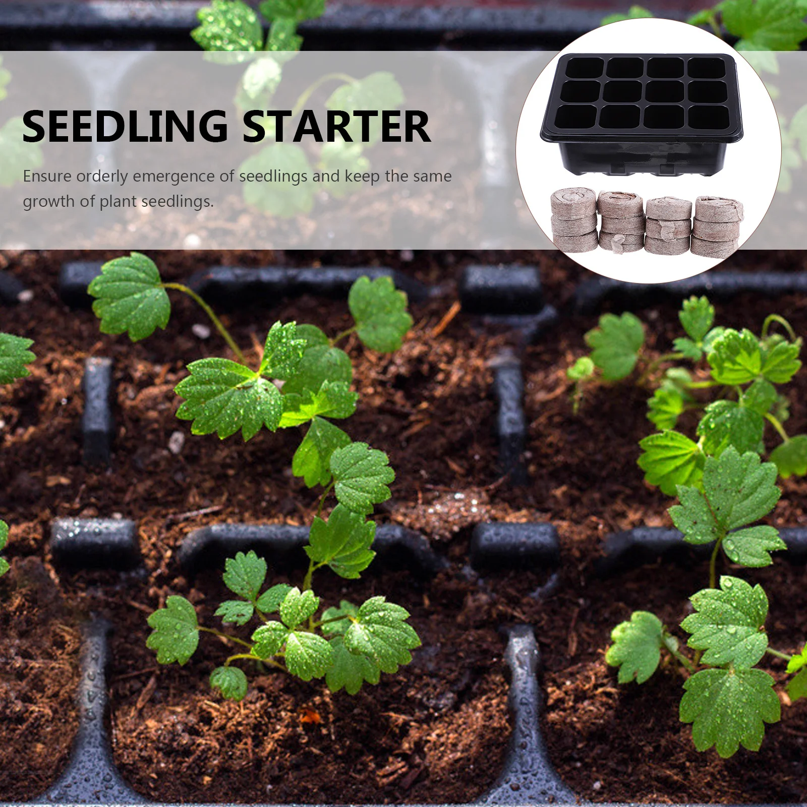 

1Set Propagator Seedling Box 12-Cell Tray Starter Pellet Blocks Nursery Tray Grower Garden Supplies Garden Propagator Set