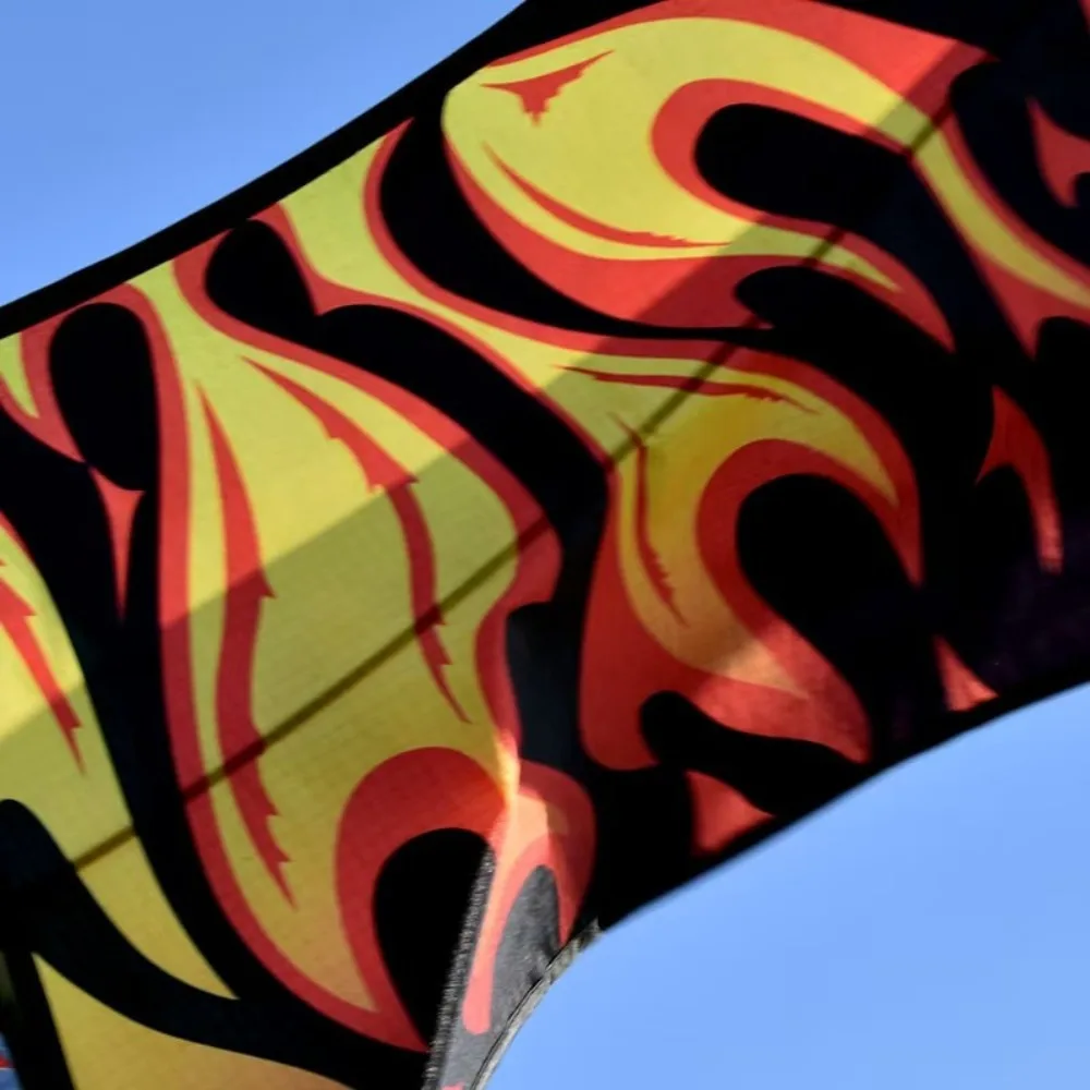 Easy to Fly Large Eagle Kites 59 Inch Good Flying Flying Bird Kites Flat Eagle with 100 Meter Kite Line Outdoor Flying Toys