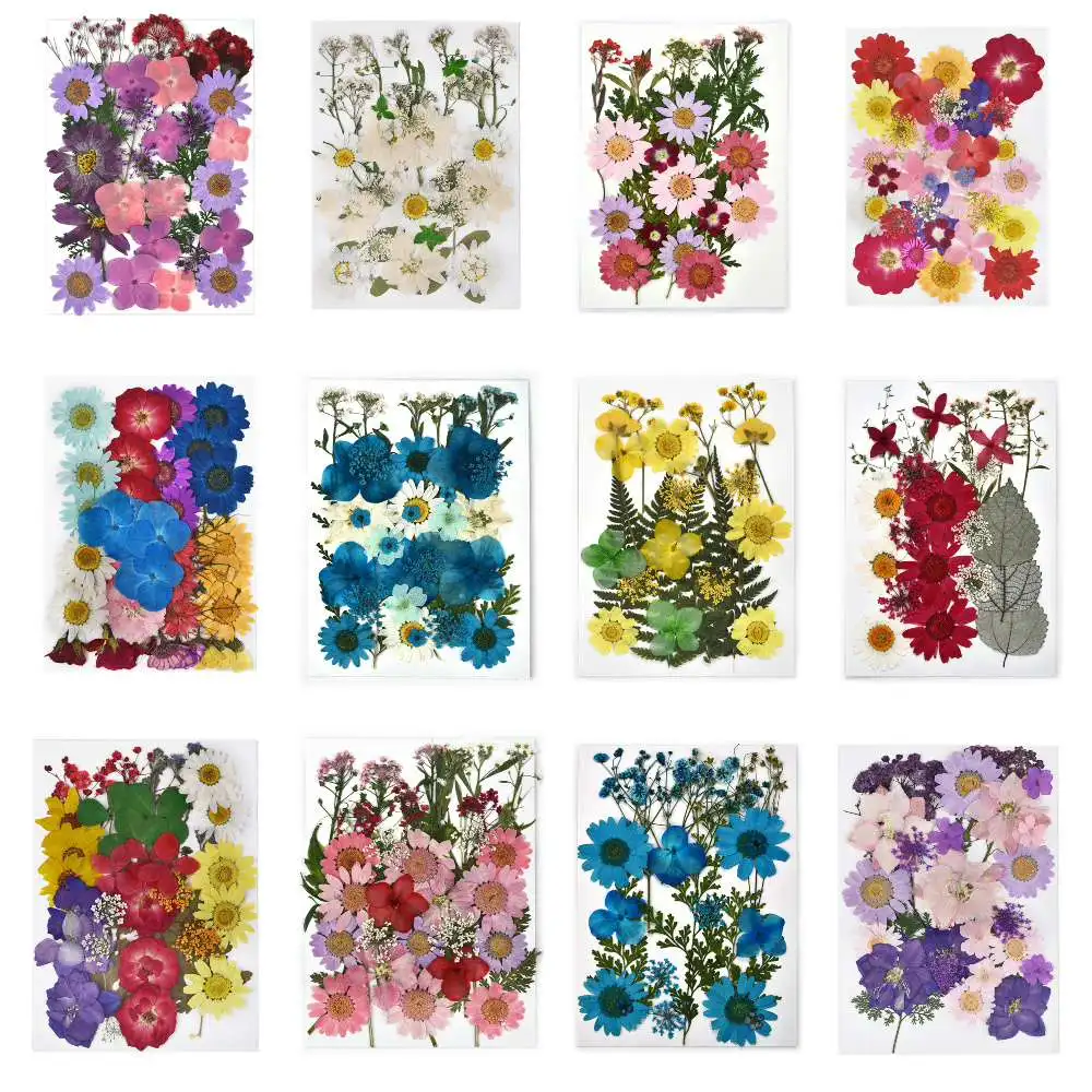 Dried Flowers DIY Pressed Flowers Stickers For Phone Case Jewelry Making Crafts Art Decor Candles DIY Materials Hydrangea Set