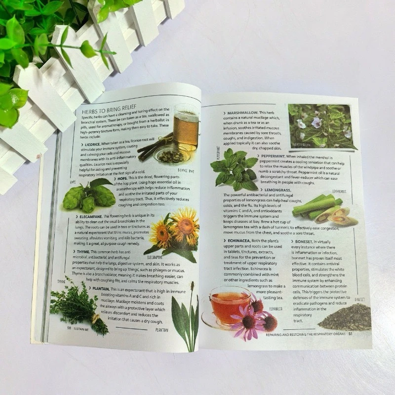 Natuurlijke remedies Gezondheidsgids - Sustain Me door Barbara Neil 9-functionele pijlers om uw welzijn te beschermen en te besparen Engels boek