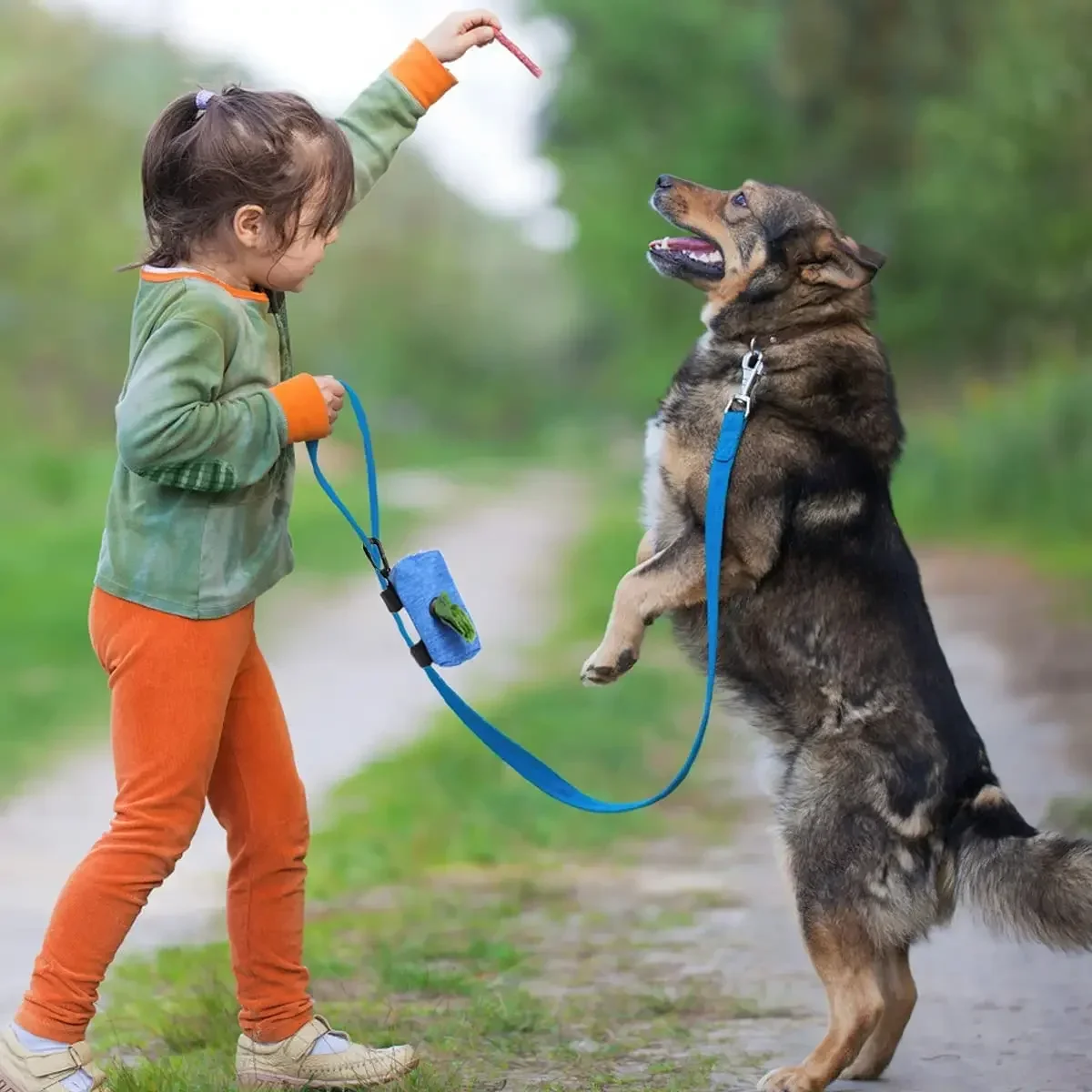 Dog Poop Bag Dispenser -and Personal Items Carrier 5