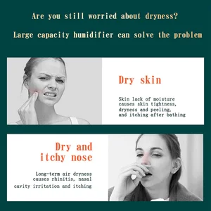 2000 ml USB -Doppelluft -Luftbefeuchterspray -Port Anschluss ätherische Öl Summing Fresco Nebel Schöpfer Fogger Purify für Home Office 10 Hauptdarmagelement für Verkaufsbefeuchter - №4