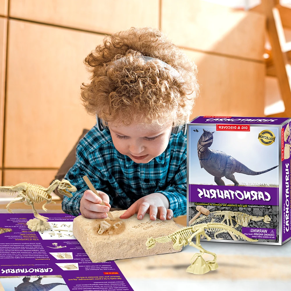 Zestawy do wykopalisk skamieniaลoลci dinozaurรณw Edukacja Archeologia Wykwintny zestaw zabawek jurajskich Gra Akcja Dzieci Figurka Szkielet Model