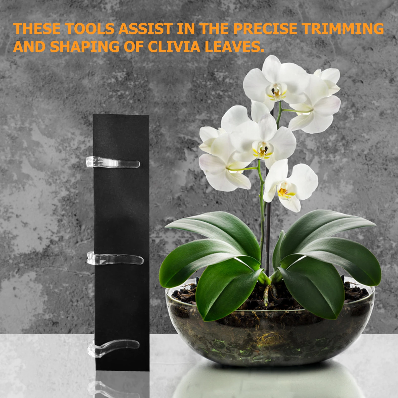 

Universal Blade Shaping Clips Reusable Garden Support Fixing Clips Leaf Sunlight Protection Acrylic Monstera Stand Holder