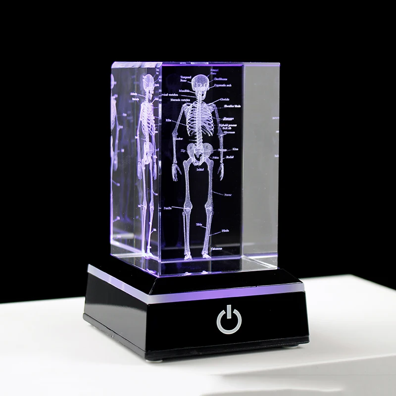 3D Laser Engraved Human Anatomical Skeleton Cube Model K9 Crystal Craft Ornament Thinking Medical