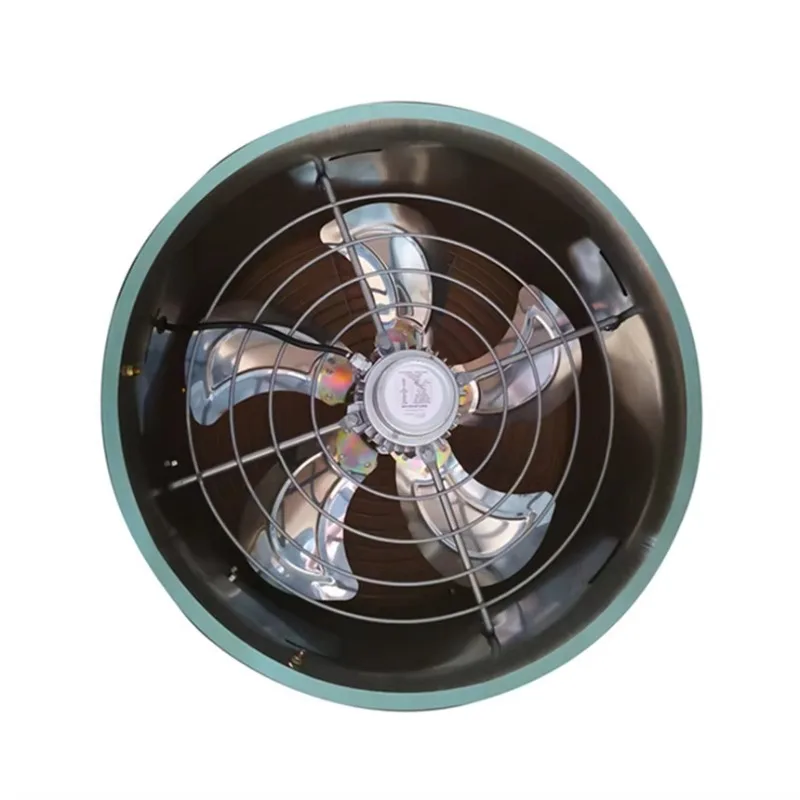 

Ring Flow Ball Bearing Electric Industrial Cooling Fan Stainless Steel Powerful Ventilation Greenhouse Planting Kitchen Fume