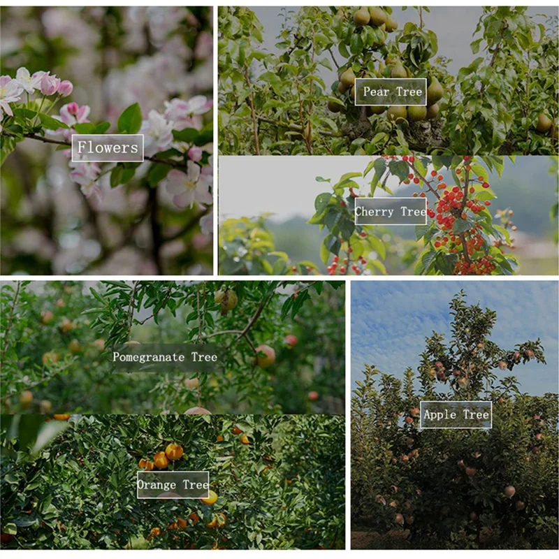ABMS-Branch Spreaders Plant Stem Traine Fruit Tree Branch Puller Tying Machine Farm Tools New Plum Tree Open Angle Pull
