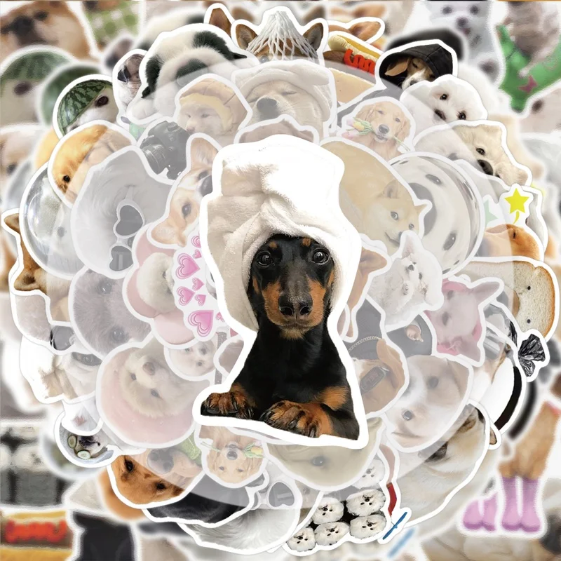 50 ملصقًا ممتعًا للكلاب، شارات لاصقة نابضة بالحياة، أنماط متعددة بدون مكررة، مناسبة لزجاجات المياه وأجهزة الكمبيوتر المحمولة وحقائب السفر وألواح التزلج والقيثارات وديكورات الحفلات