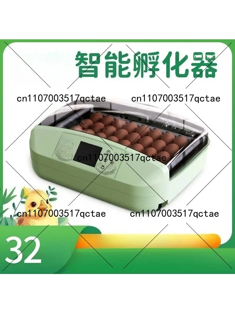 Small Egg Incubator 32 Pieces Incubation and Breeding Equipment Fresh Green Egg Incubator Household Model
