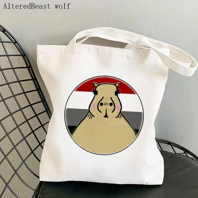 Vrouwen Shopper Tas Leuke Capybara In Rechte Bondgenoot Trots Lgbt Zak Harajuku Canvas Shopper Tas Meisje Handtas Tote Schouder Lady tas