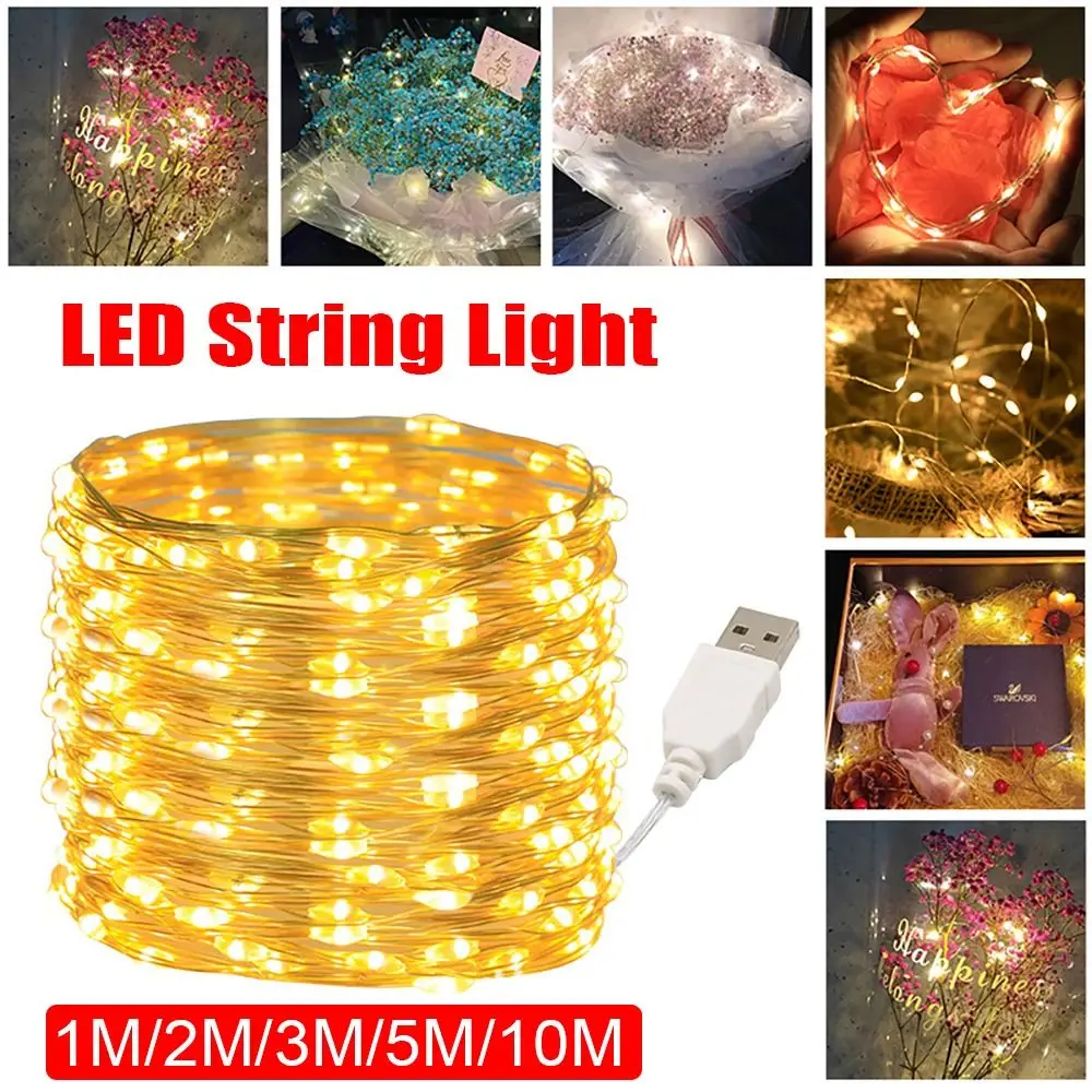 USB LED String Light 1/2/3/5/10M White Colorful Fairy Light 5V Copper Silver Wire Garland Light Christmas Wedding Party
