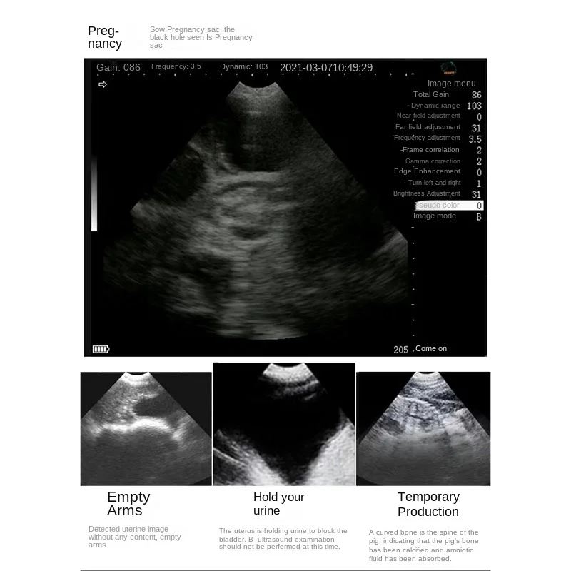 Weterynaryjny ultrasonograf przenośny Test ciążowy świński pies owczy kot zwierząt gospodarskich maszyna ultradźwiękowa B